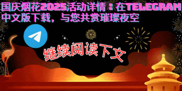 2025国庆烟花汇演动态效果：烟花绽放与互动场景